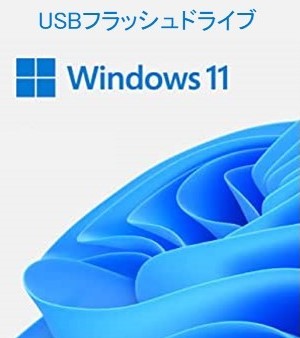 HAV-00213 Win Pro FPP 11 64-bit Japanese USB | PCSERVER1.JP 日本