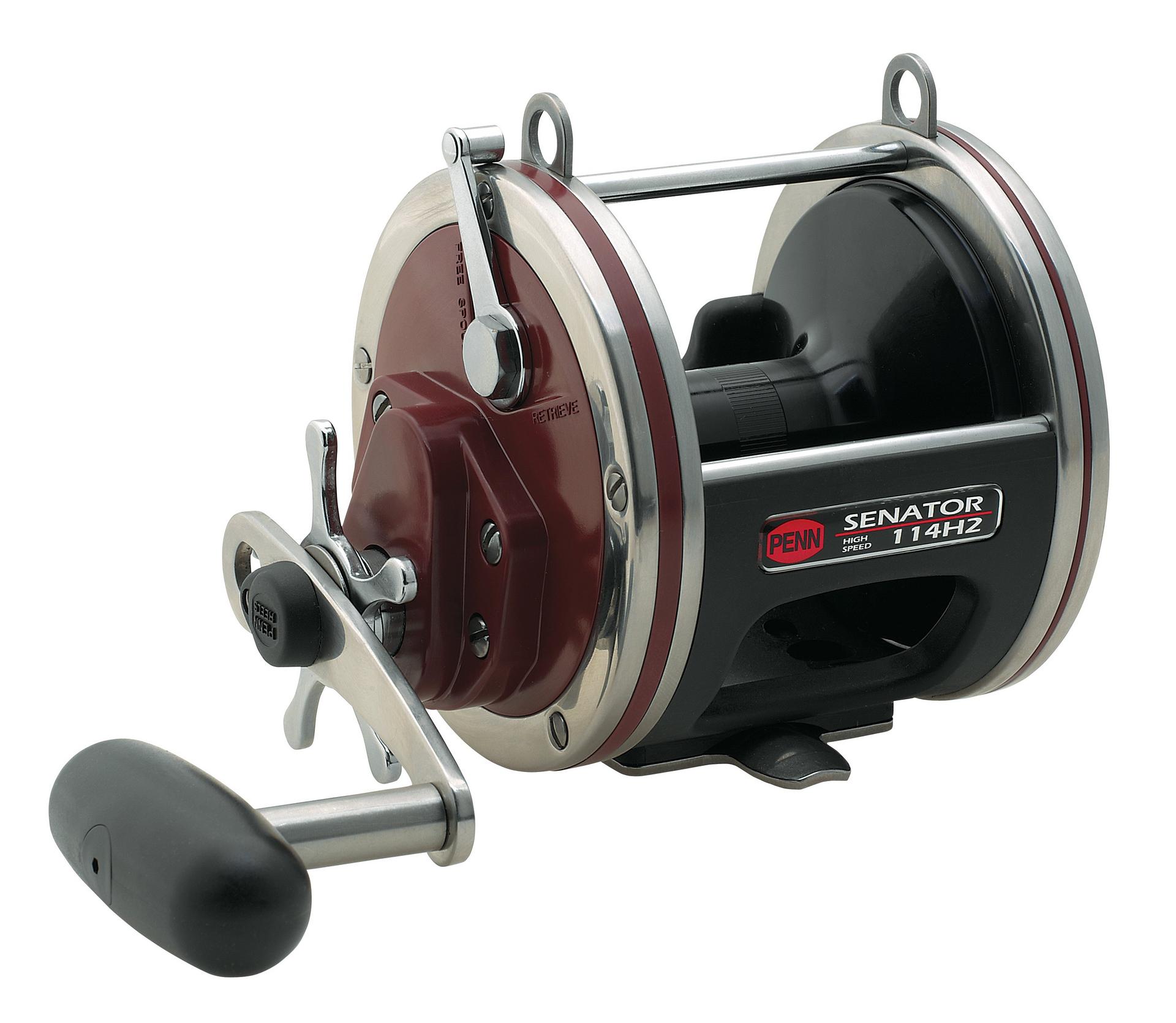 PENN Special Senator® Star Drag Conventional Reel | PENN® Fishing