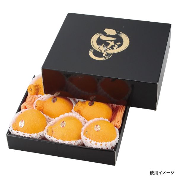 ギフト箱 L-2219 こだわりの黒(中) ヤマニパッケージ | テイクアウト