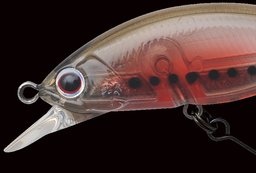 アレキサンドラ 35th - 35周年 限定発売商品 ｜PALMS ｜ 株式会社パームス