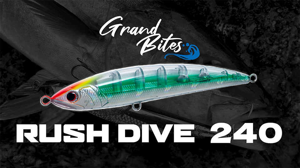 PALMS ｜ 株式会社パームス