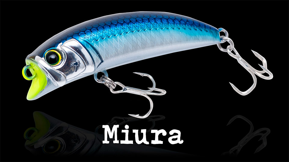 PALMS ｜ 株式会社パームス