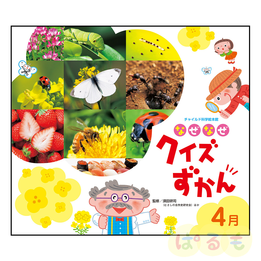 チャイルド科学絵本館 なぜなぜクイズずかん① 2024年 4月号