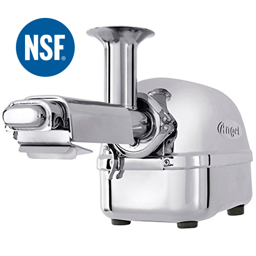 Angel 5500 Stainless Steel Juicer (Super Angel Plus) - Plant Based