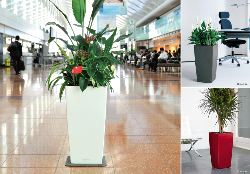 ドイツ製プランター『LECHUZAレチューザ』キュービコ30｜底面給水鉢