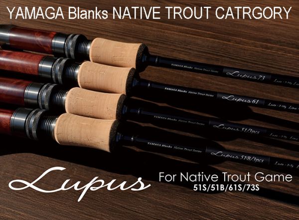 PLAT/daiwa saltiga j technical steer 55s 3-Fishing Tackle Store-en