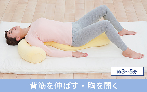 星のやすらぎ 療法士ボディピロー｜商品情報（枕）｜ファイテングッド