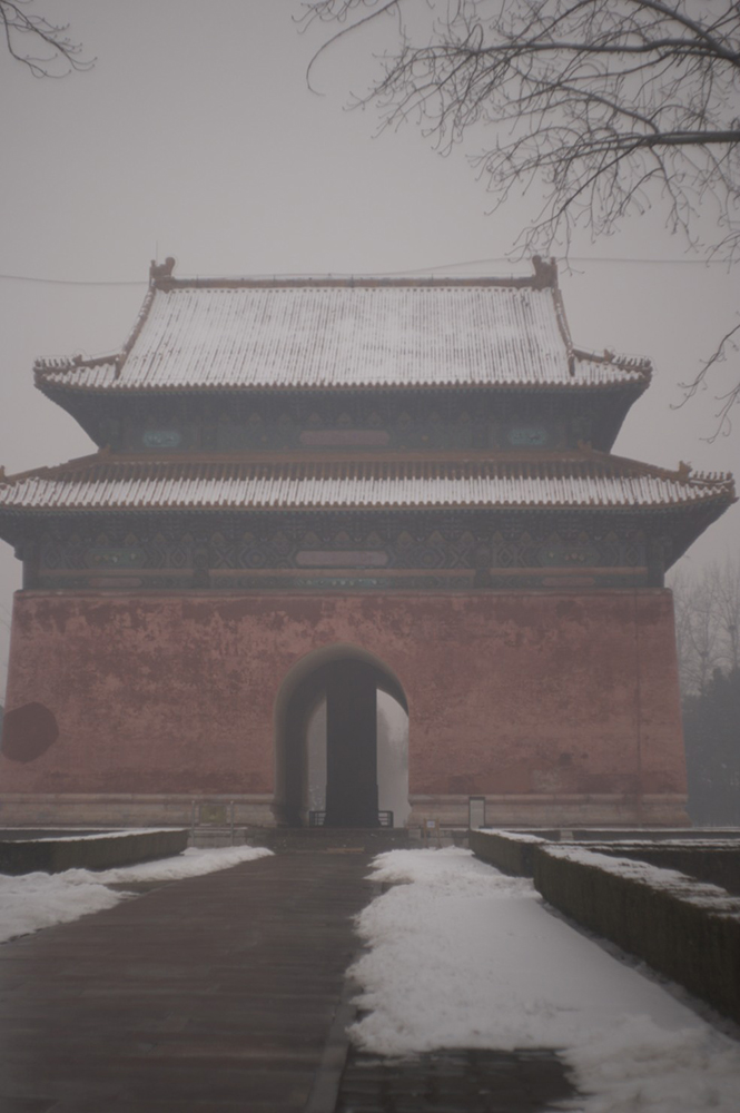 文化の磁力は交わって艶やかな色彩を生み出す4(シュタインハイル