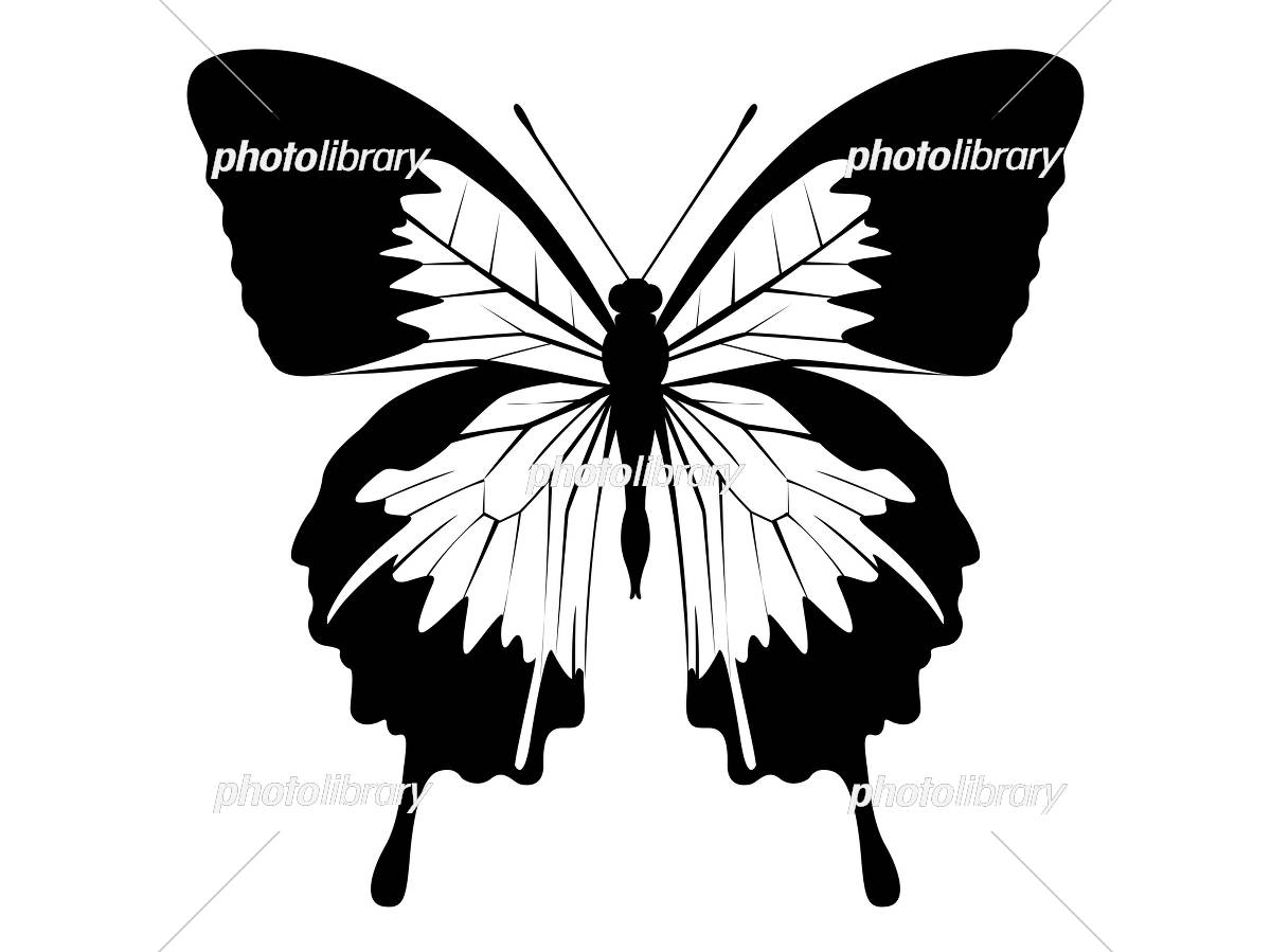 蝶01 イラスト素材 [5294379] - フォトライブラリー