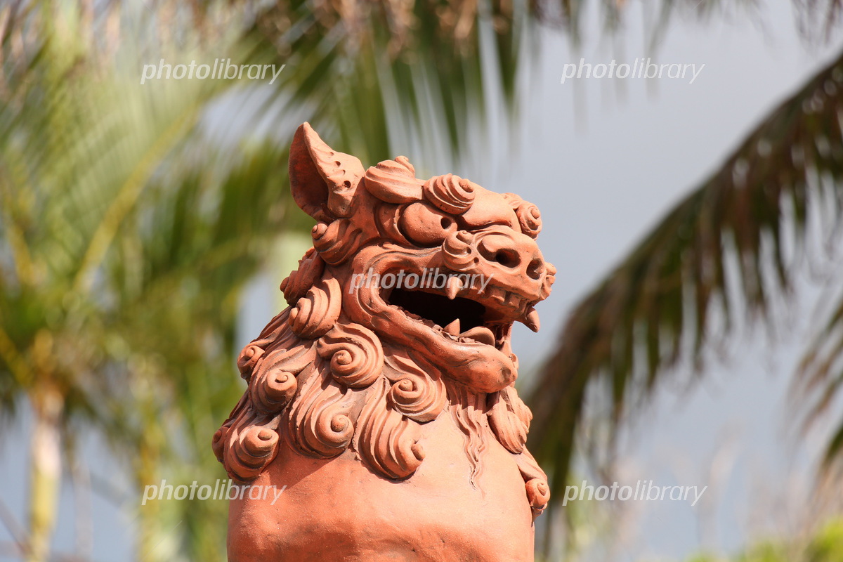 沖縄のシーサー 写真素材 [5313776] - フォトライブラリー