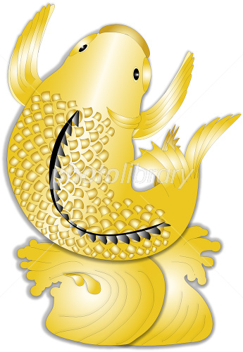 金鯉 イラスト素材 [1420941] - フォトライブラリー