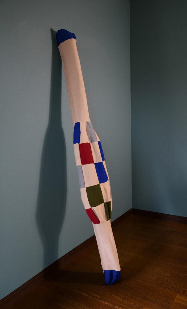 エレファント スキーカバー 入荷!! | ピステ・マジック オフィシャルサイト