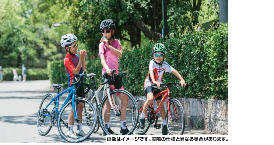 FUJI（フジ）2022年モデル ACE650 （エース650）