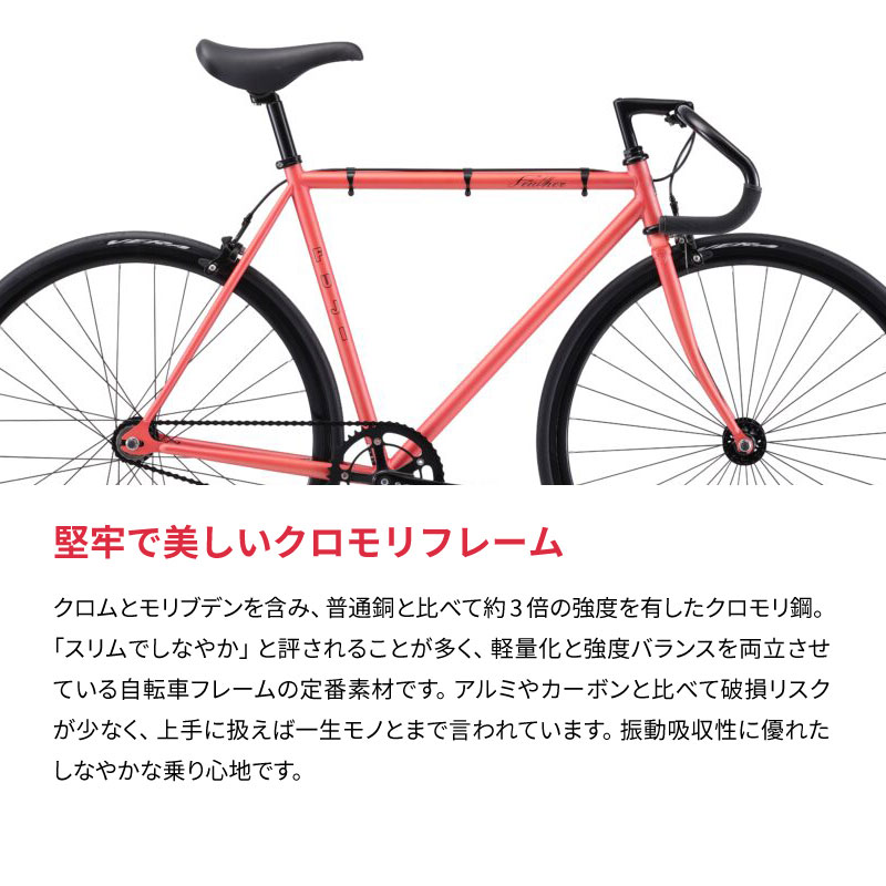 FUJI（フジ）2023年モデル FEATHER （フェザー）