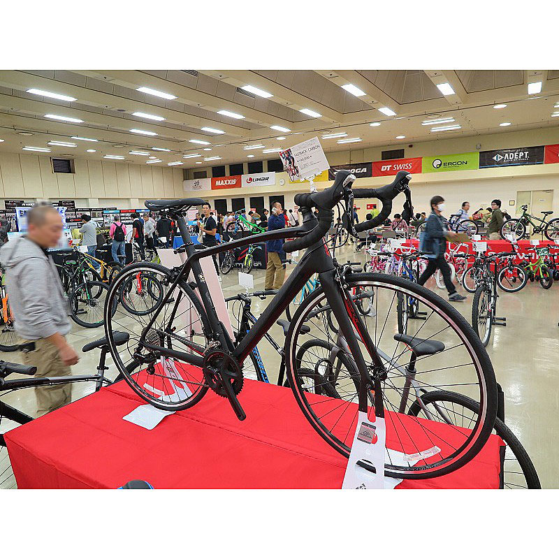 SCHWINN（シュウィン） 2018年モデル FASTBACK CARBON （ファスト