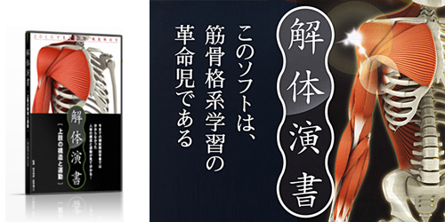解体演書・上肢の構造と運動（ソフト）
