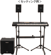 電子楽器のための2.1chモニター・アンプ・スピーカー、CUBE Monitor