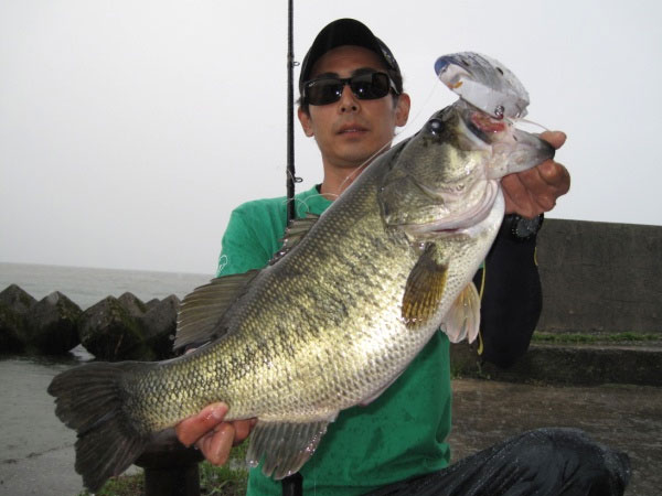 MOTHER - RomanMade【ロマンメイド】