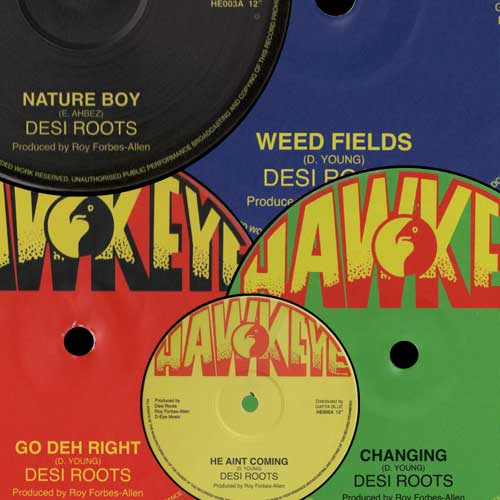 Desi Roots - 5 x 12Inch - Review - Reggae Vibes