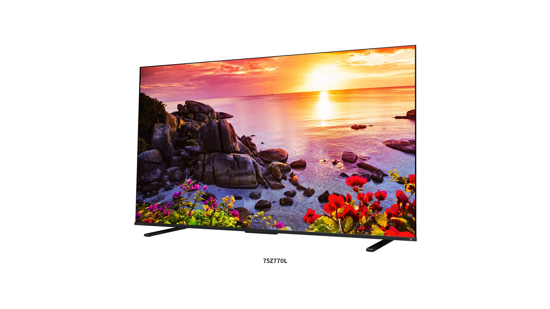 テレビ TOSHIBA REGZA 65Z770L 東芝 65Z770L タイムシフトマシン 4K量子ドット液晶テレビ レグザ