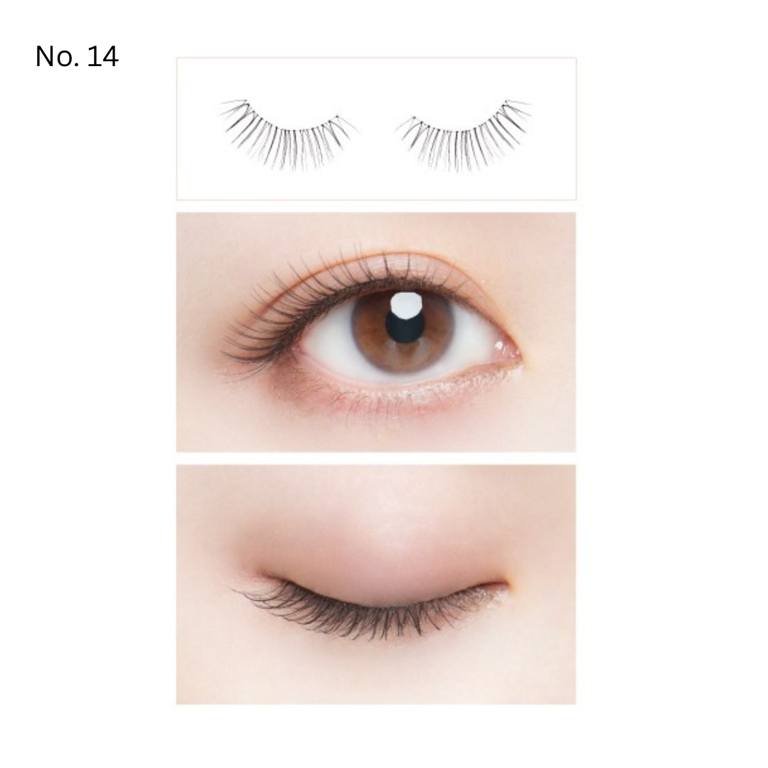 Dolly Wink: Salon Eyelash (2 Pairs) – Rei Cosmetics LLC