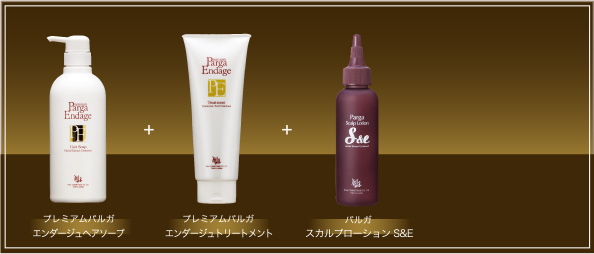 プロ仕様のサロン専売アミノ酸系シャンプー レラパルガ