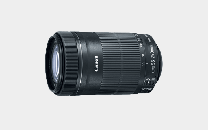 Canon EF-S 55-250mm f/4-5.6 IS STM Lens Rental in Delhi NCR