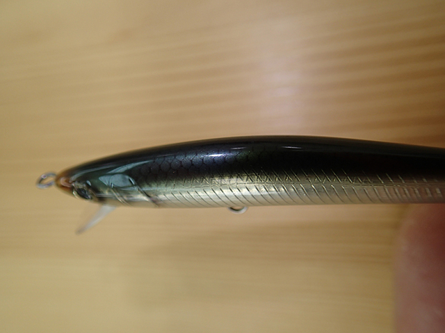 TS高松の展示物2｜BLOG - Sunset & Fishing 夕日好きのプロルアー