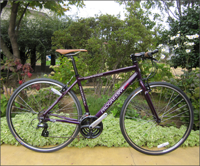 PROGRESSIVE Racing(プログレッシブ レーシング)/杉村商店の自転車なら