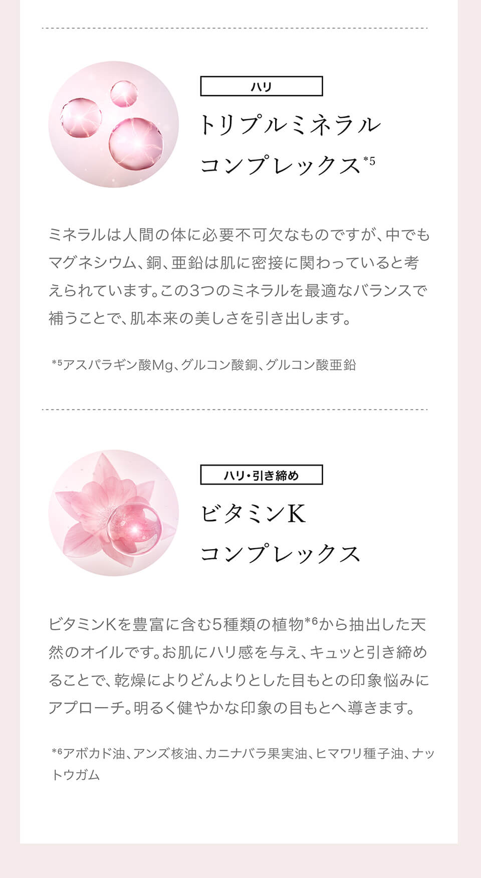 楽天市場】【P5倍☆3/4 20:00～3/11 1:59】アクシージア ビューティー