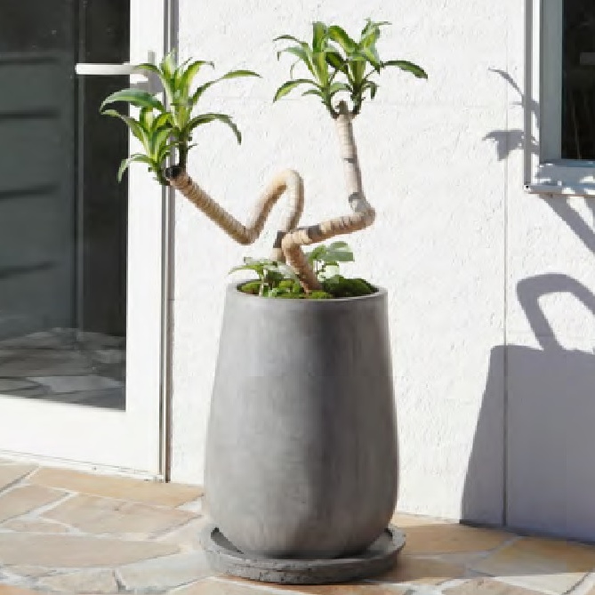 楽天市場】植木鉢 おしゃれ セメント 軽い セドナポット M＜ 36cm 12号