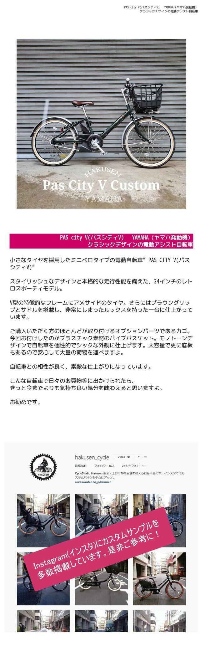 楽天市場】【最大4000円クーポン配布】【プラパイプバスケットカスタム