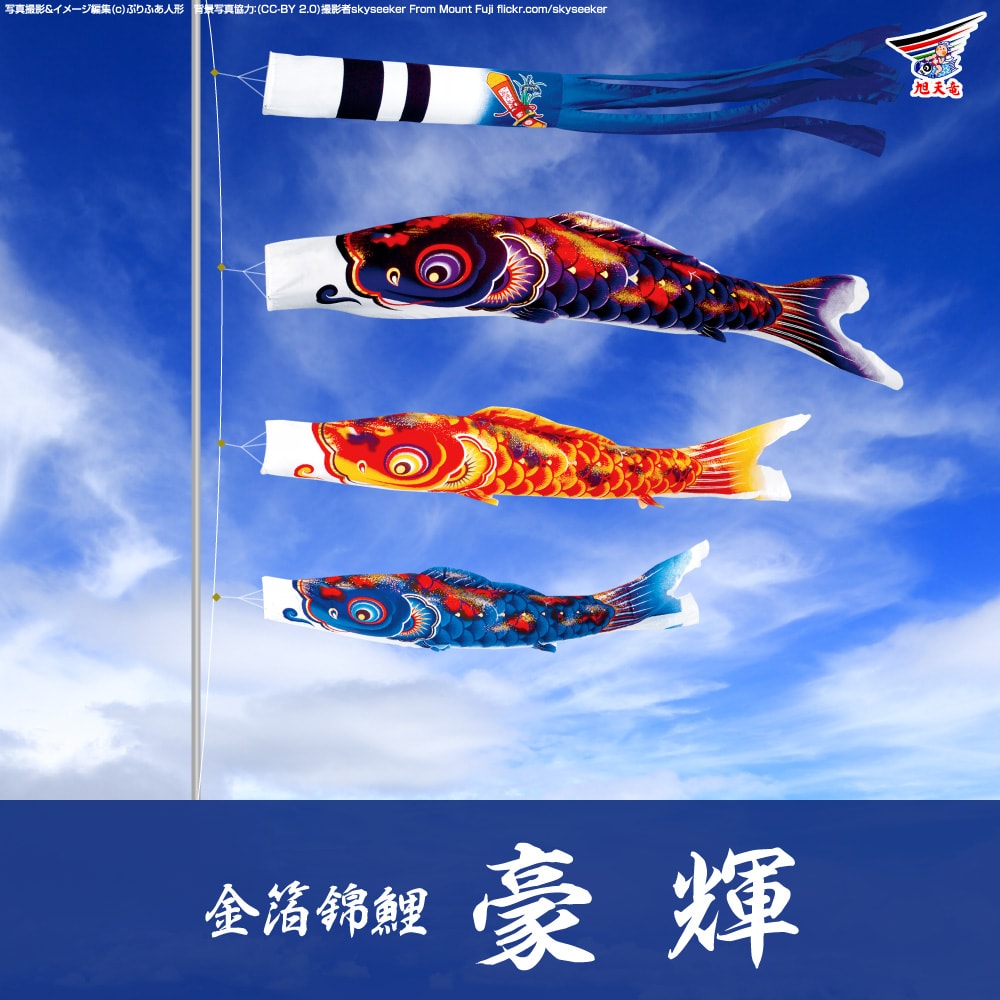 鯉のぼり 旭天竜 豪輝 | prefer