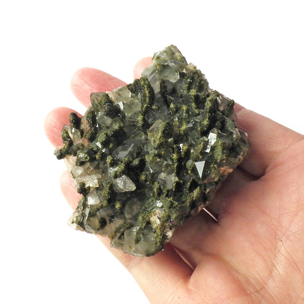 岡山のパワーストーン、風水・開運グッズのお店 龍祥本舗 / エピドート