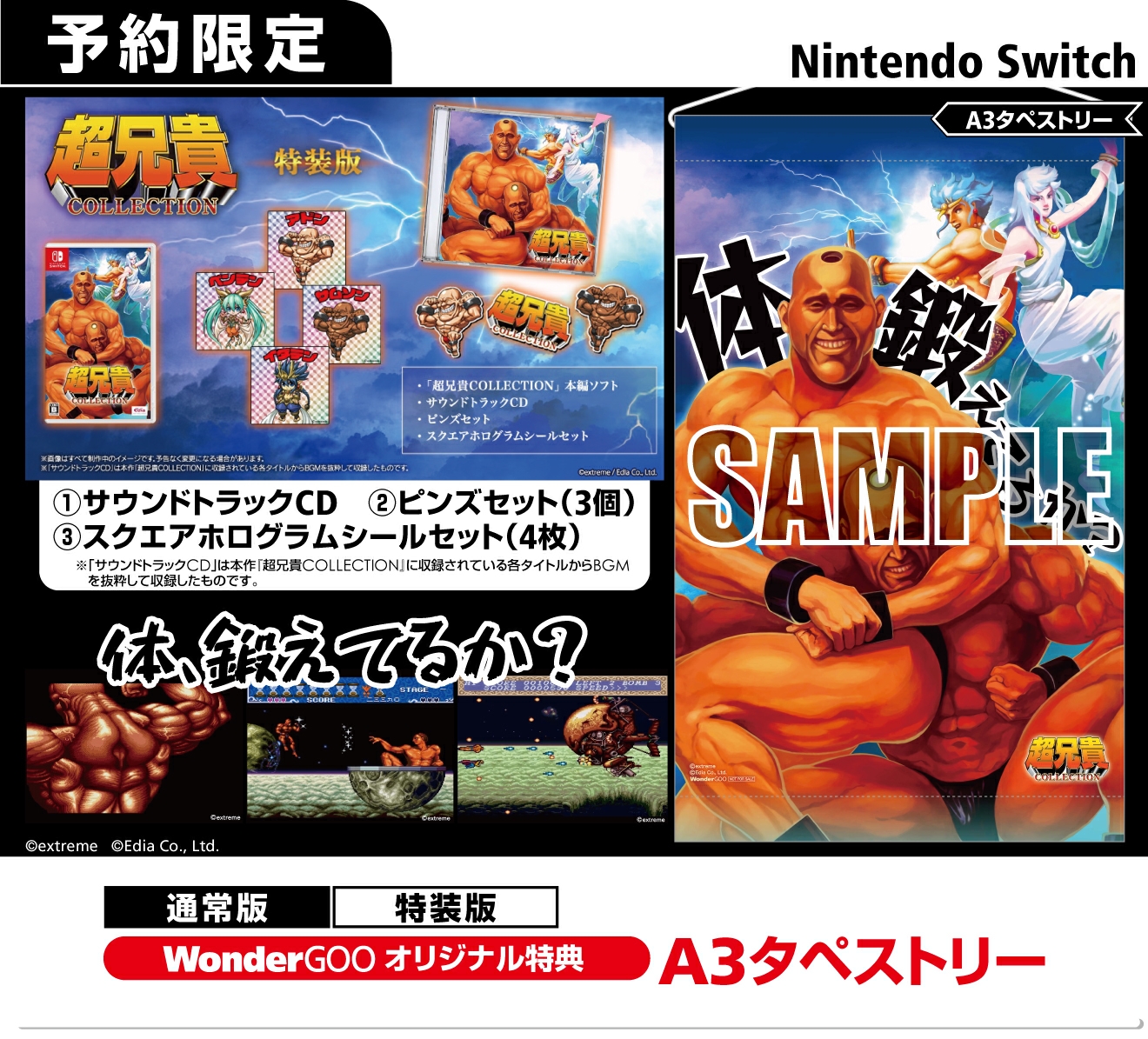 Nintendo Switch 超兄貴COLLECTION【オリ特】A3タペストリー - WonderGOO