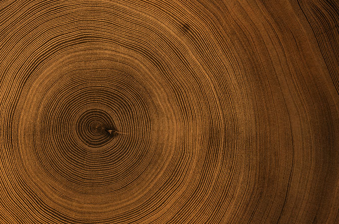 ウッドハート メールニュース