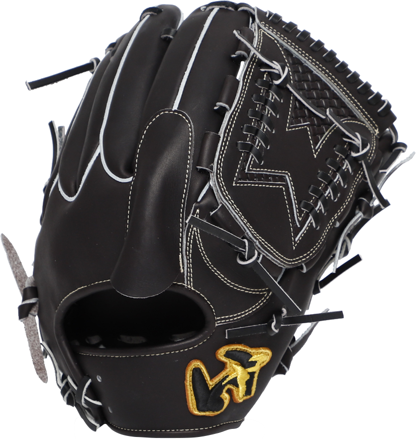 ワールドペガサス 軟式硬式兼用 投手用 DM2 ワールドペガサス（WORLD