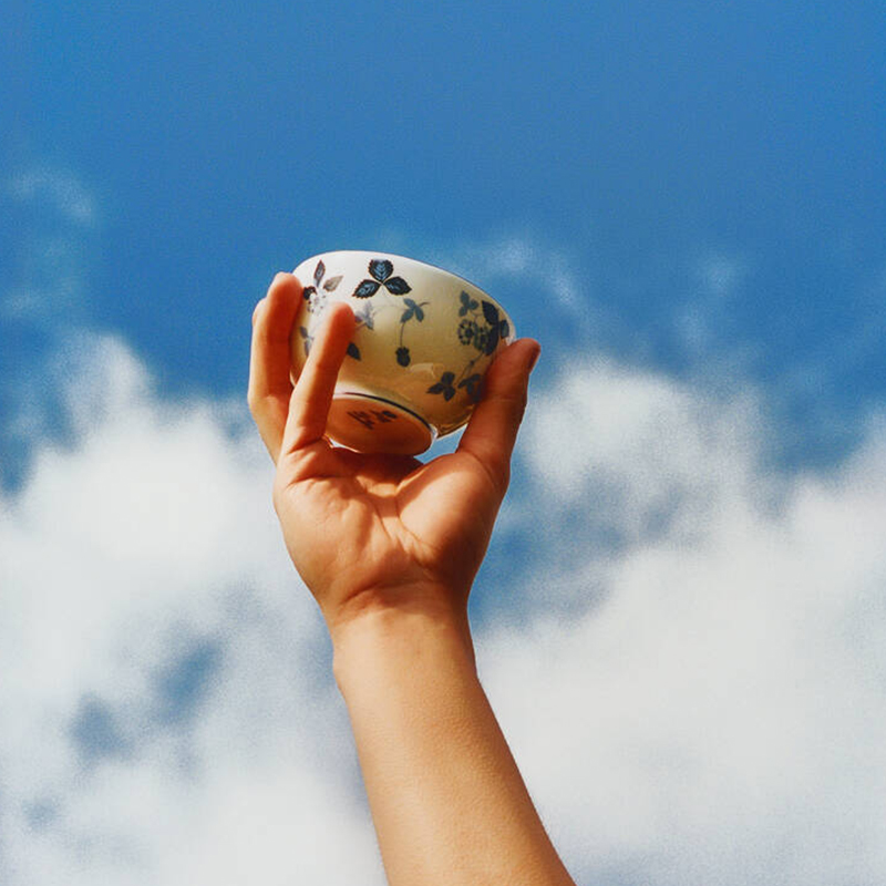 ストロベリー インクブルー ラウンドボウル11cm|WEDGWOOD公式