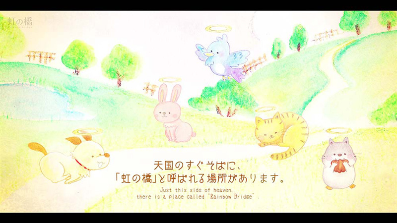 ペットロス・動物を愛するすべての人へ～「虹の橋」のDVD版を無償進呈中