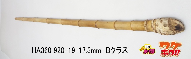 淡竹根付き釣竿製作用・和竿手元素材【わけあり・各種サイズ】