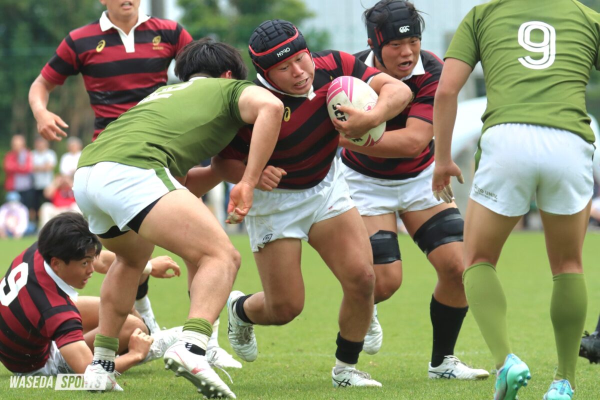 早稲田大学ラグビー蹴球部公式サイト《2025 One Shot》