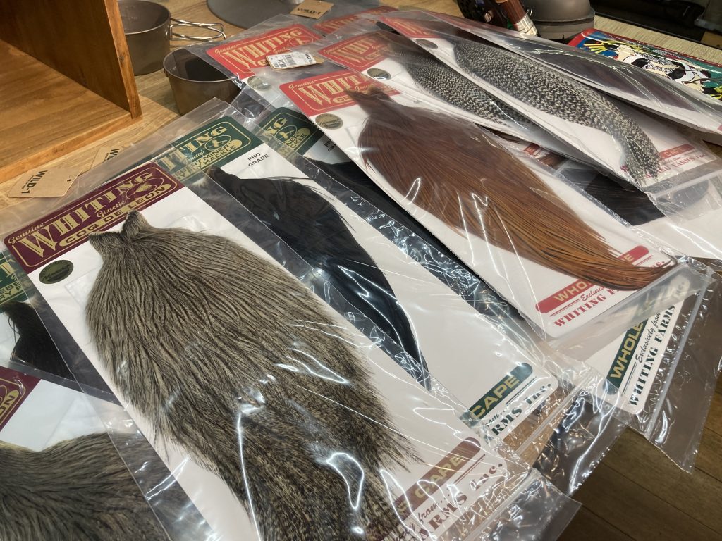 ホワイティング ハックルケープ入荷しました。｜アウトドアライフ