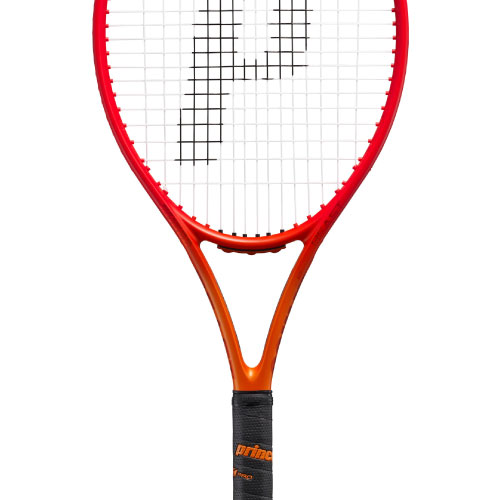 ウインザーオンラインショッププリンス ビースト 100 280g（prince