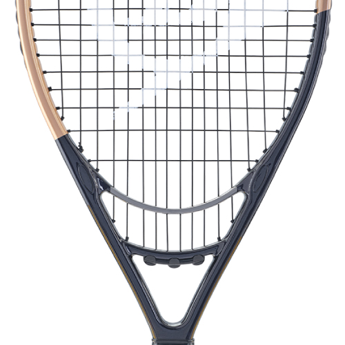 ウインザーオンラインショップダンロップ エルエックス 1000