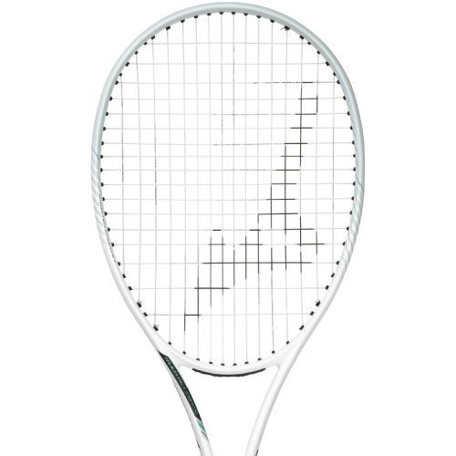 ウインザーオンラインショップ【張り工賃別】ミズノ ディーフォース VS