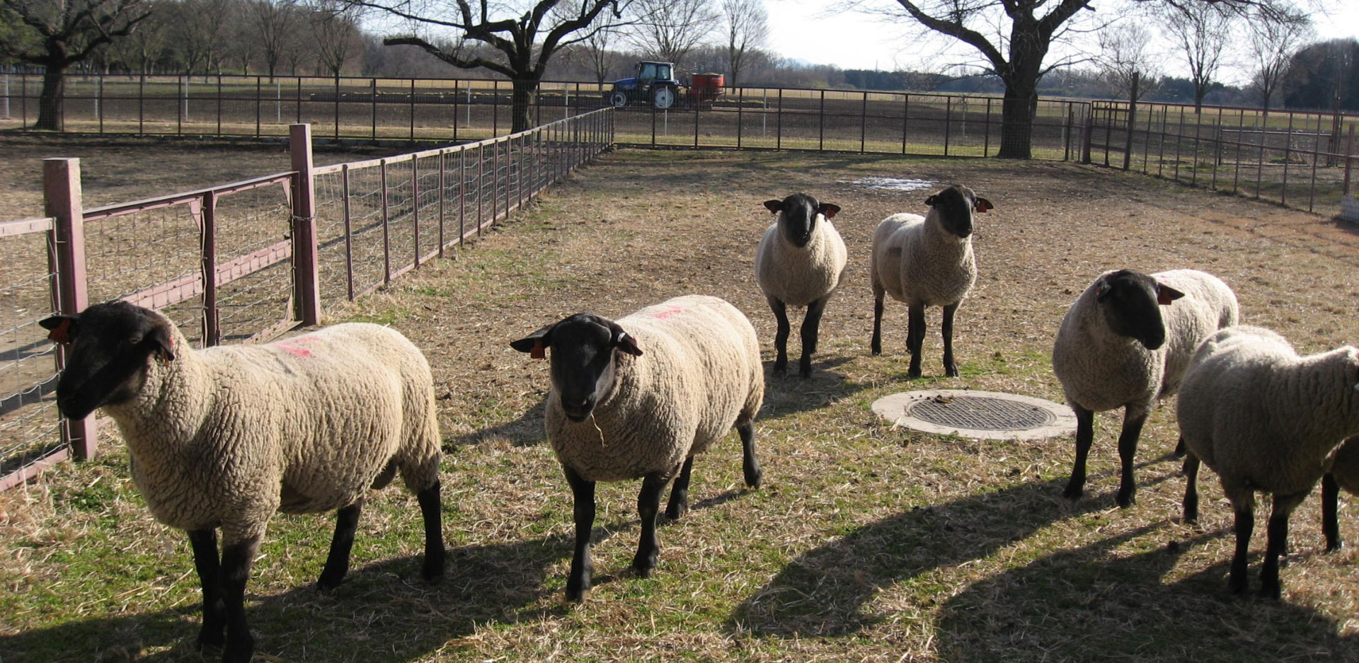 栃木県高根沢町