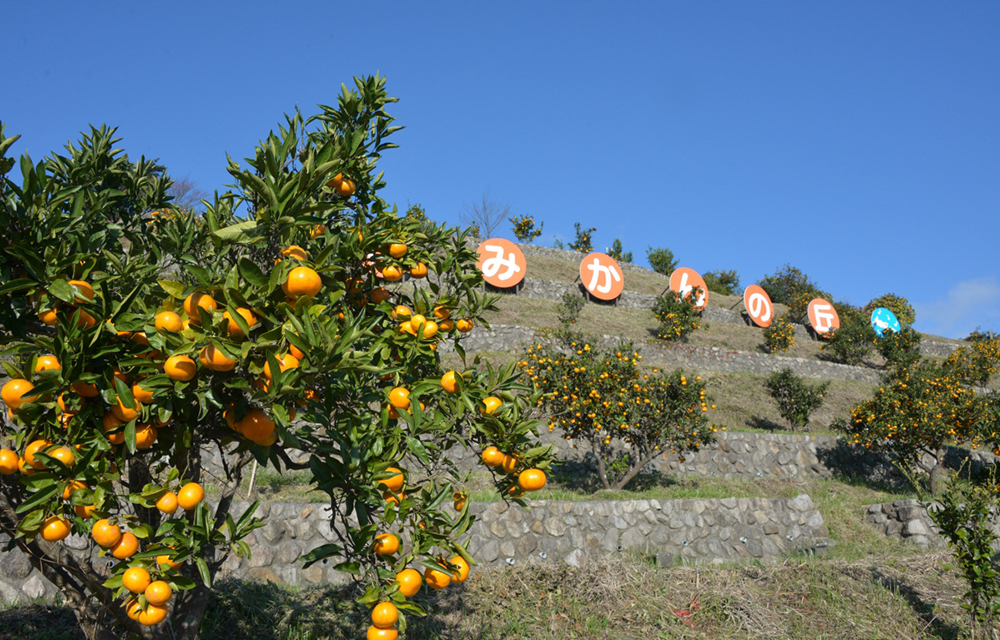 みかんの丘｜広野町公式ウェブサイト