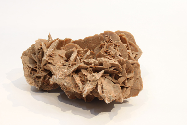 ローズ・ド・サハラ（砂漠のバラ）｜歴史資料館