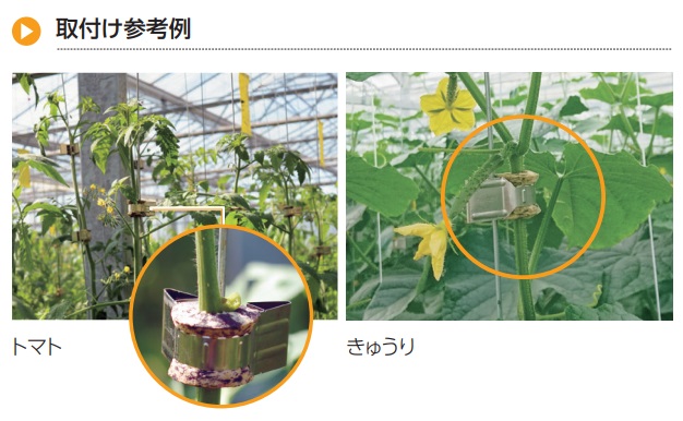 パクットクリップ C-682ならトヨタネ株式会社。農業に関することなら