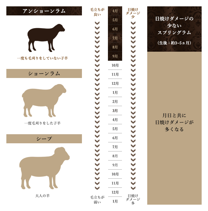 アリエス 40 ムートン敷きパッド: ムートン｜東洋羽毛公式通販サイト